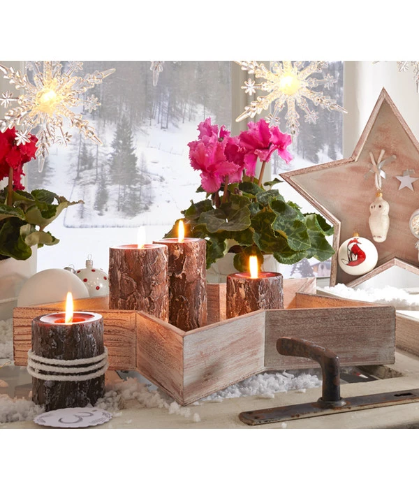 Alpenveilchen, Gefranst – Bild 10