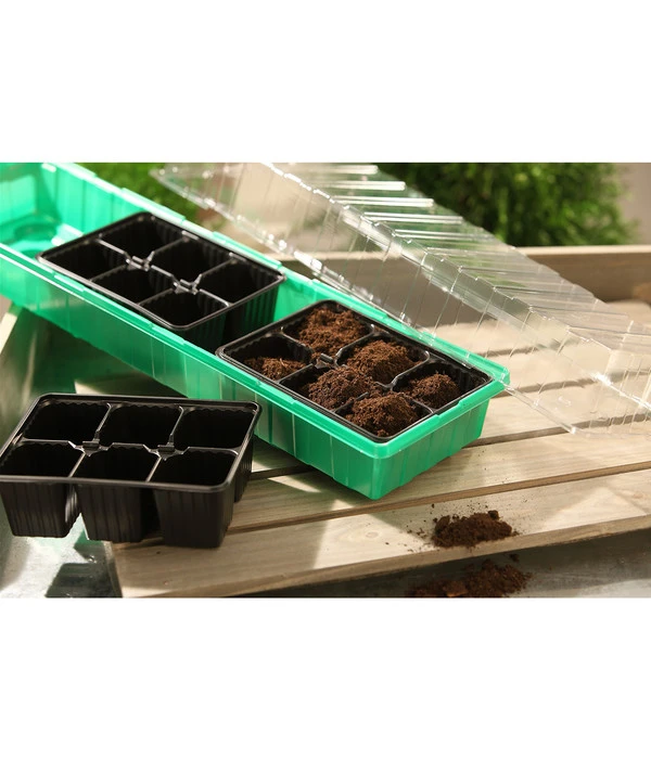 Dehner Zimmergewächshaus Frans, 54 X 15 X 12 Cm – Bild 3