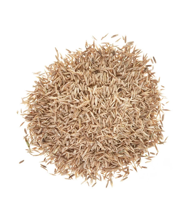 Wolf-Garten Wolf Saatgut Strapazier-Rasen – Bild 2