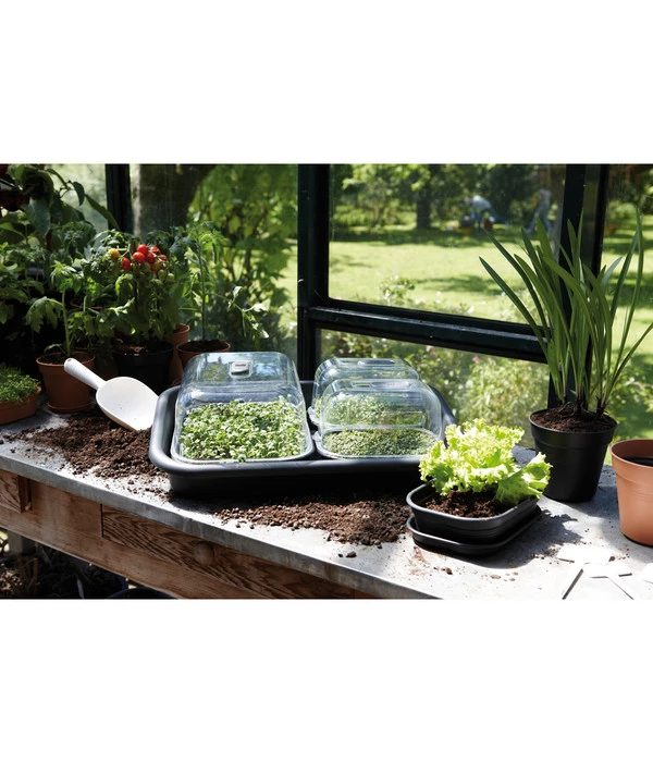 Elho Anzuchtschale M – Bild 2