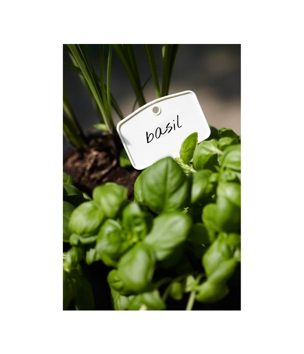 Elho Pflanz-Stift, 5 Stück – Bild 3