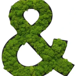 StyleGREEN Sonderzeichen 'Und' Aus Islandmoos, Ca. B20/H25/T3,5 Cm