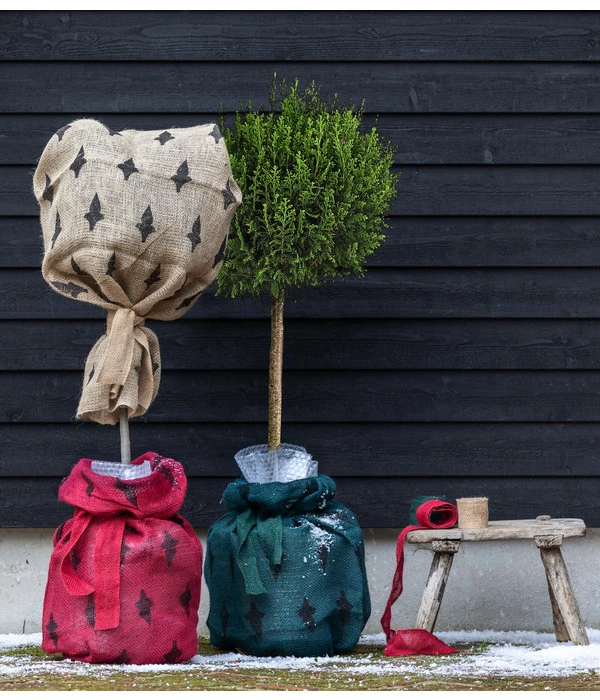 Dehner Pflanzen-Isolierfolie – Bild 5