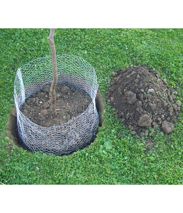 Wühlmauskorb – Bild 2