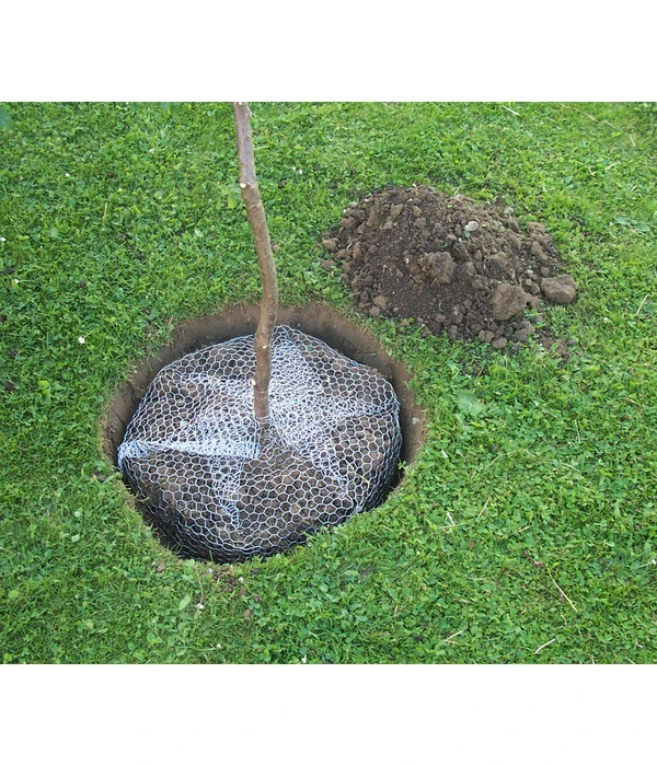 Wühlmauskorb – Bild 3