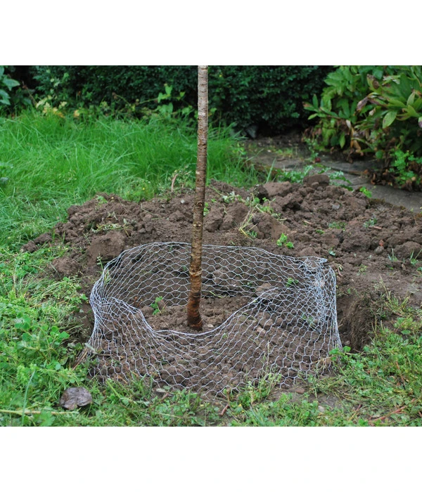 Wühlmauskorb – Bild 4