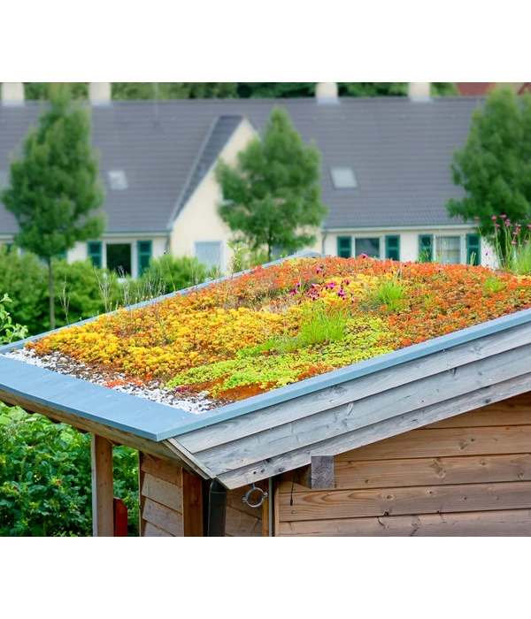 Dachbegrünungsmatte Mit Fetthenne, Verschiedene Sorten, 2-teilig – Bild 2