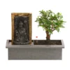 Bonsai, Mit Brunnen