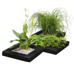 Dehner Treibring Für Wasserpflanzen